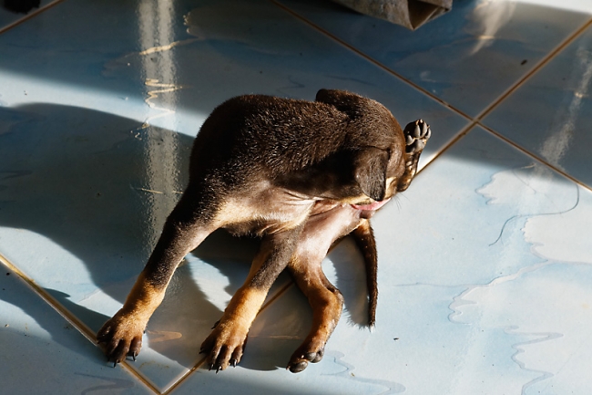 Famille et amis-MAI17-009